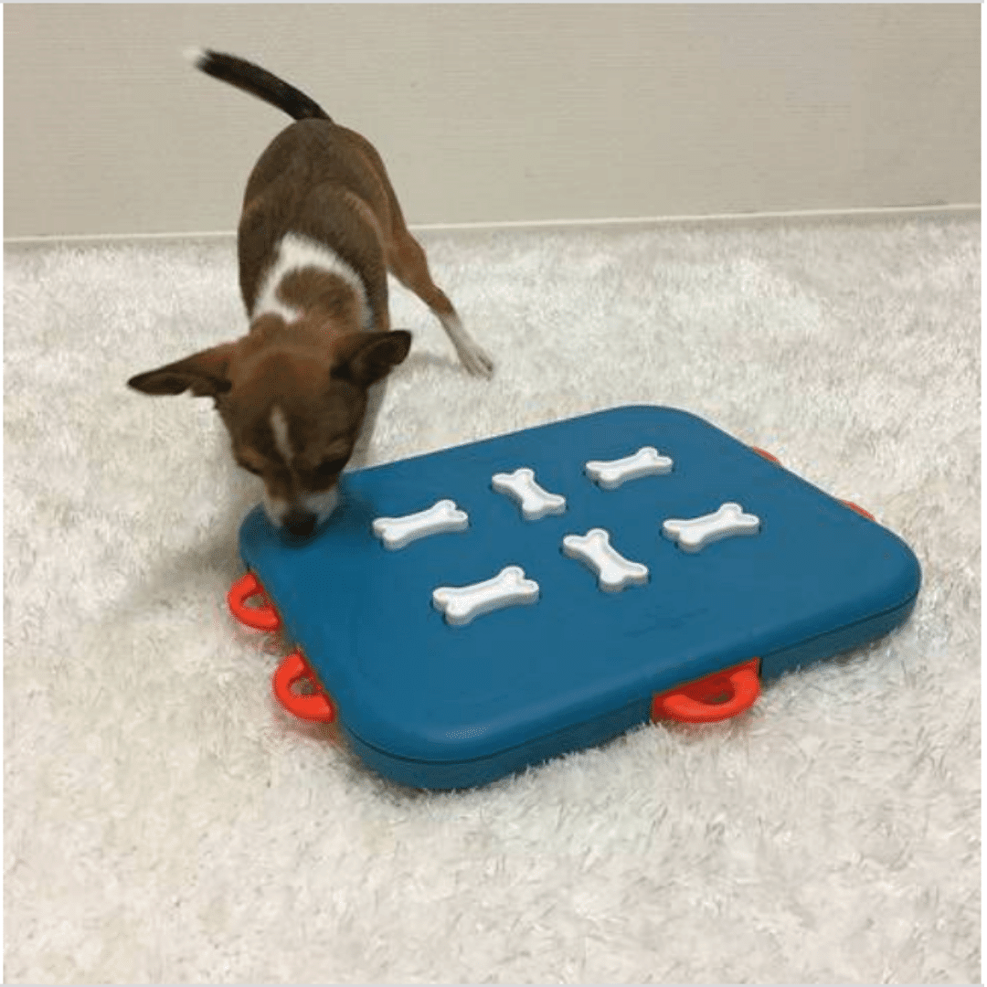 NINA OTTOSSON DOG CASINO - NIVEL34
