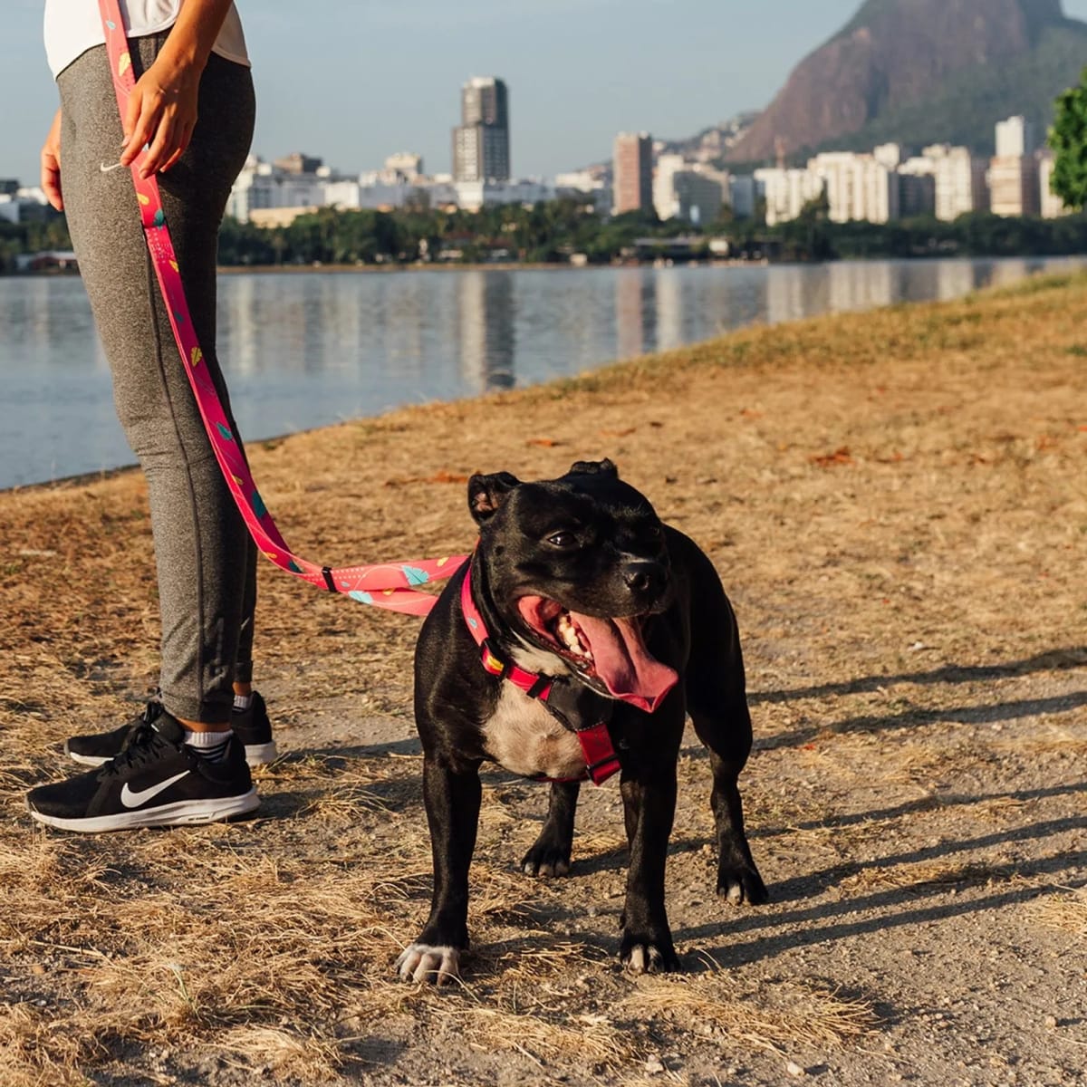 CACHORREIROS CORREA MANOS LIBRES OLIVIA4