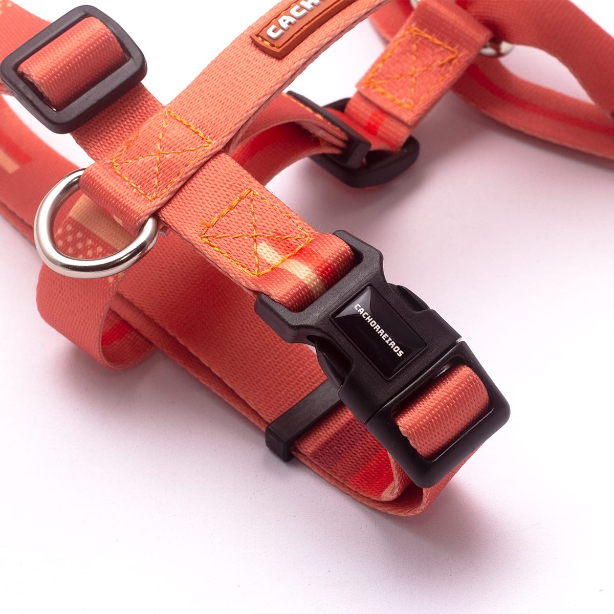 CACHORREIROS ARNES CORAL4