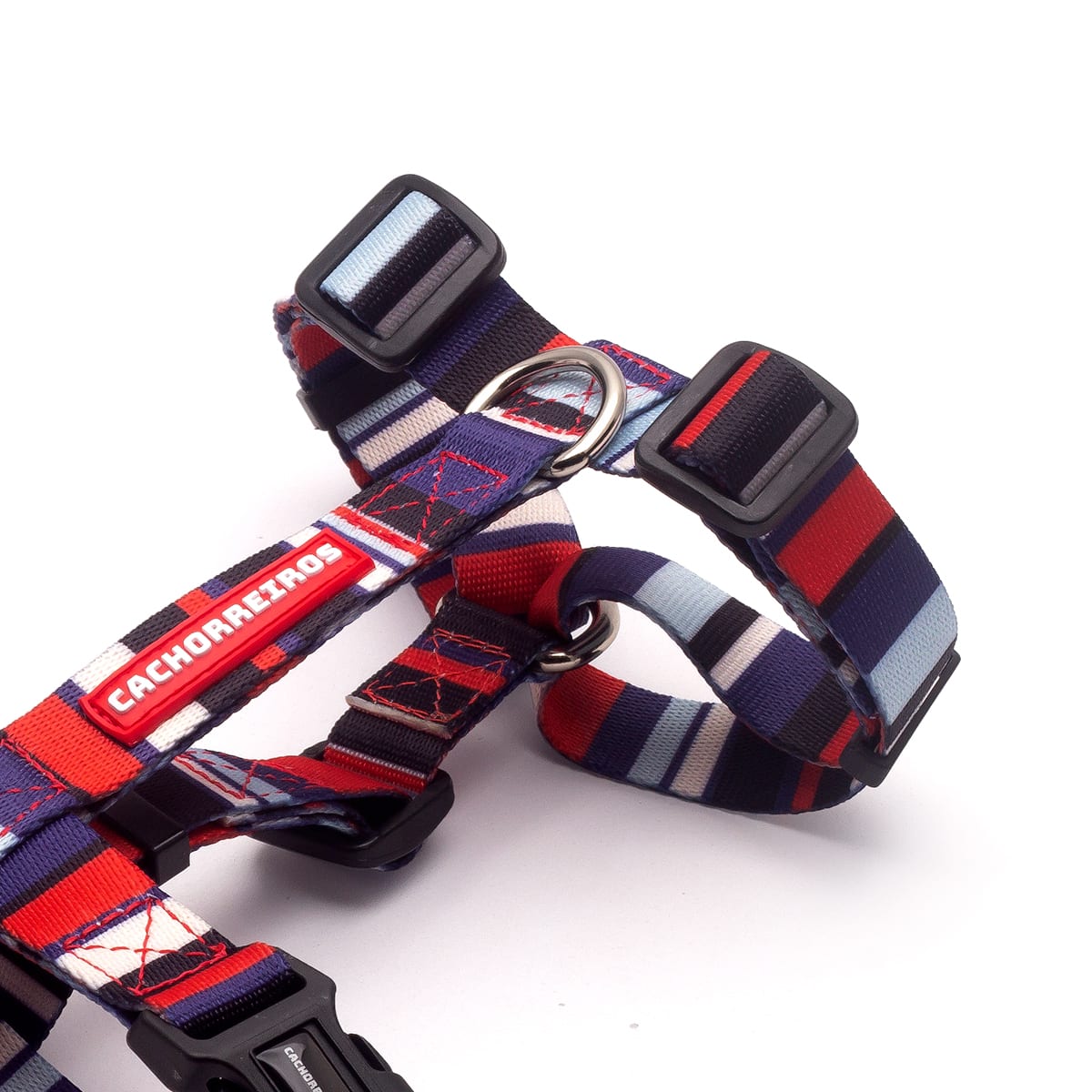 CACHORREIROS ARNES NAUTICA3