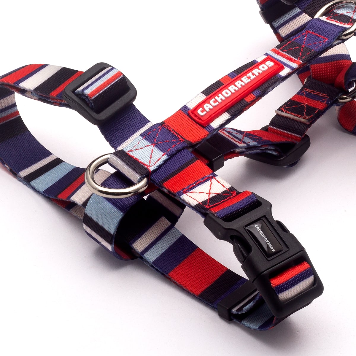 CACHORREIROS ARNES NAUTICA2