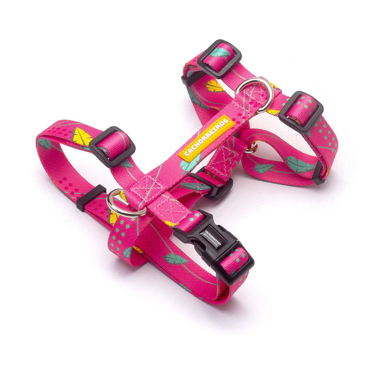 CACHORREIROS ARNES OLIVIA1