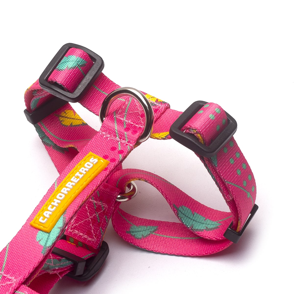 CACHORREIROS ARNES OLIVIA2