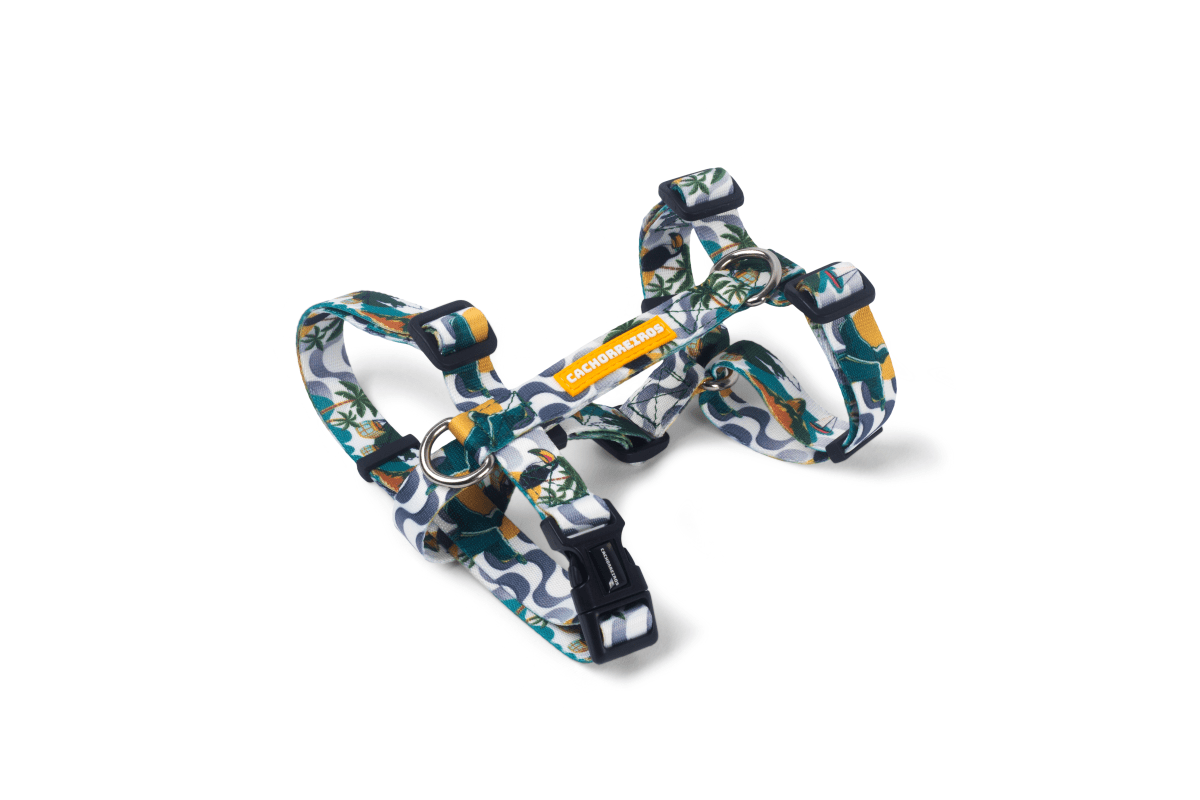 CACHORREIROS ARNES RIO1