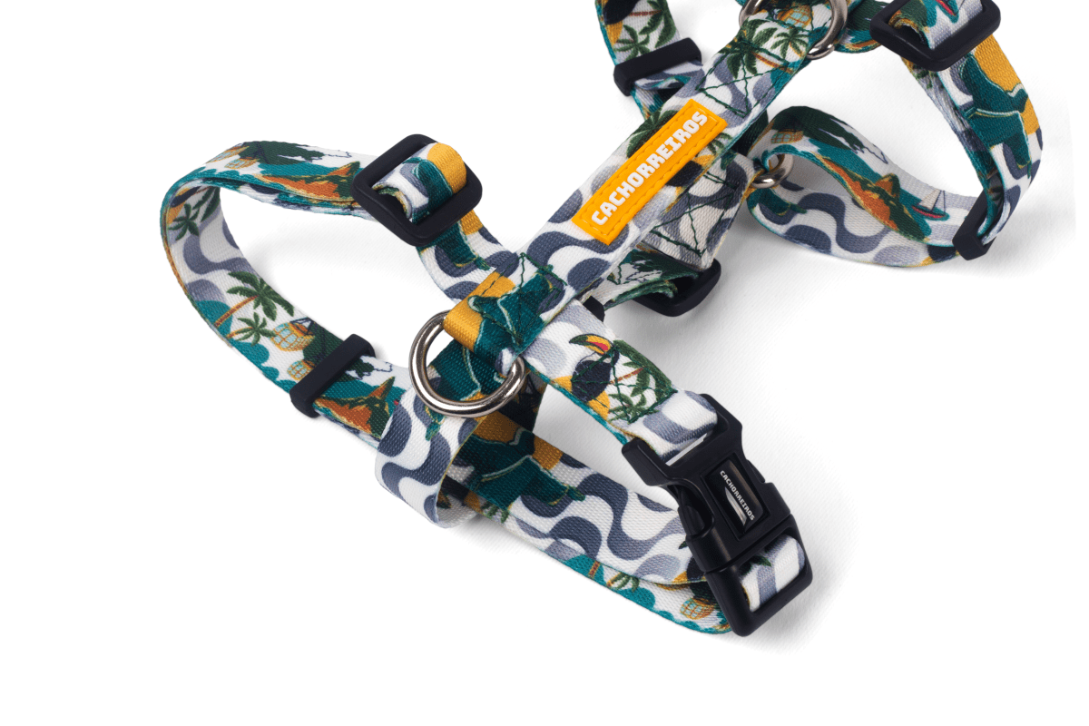 CACHORREIROS ARNES RIO2