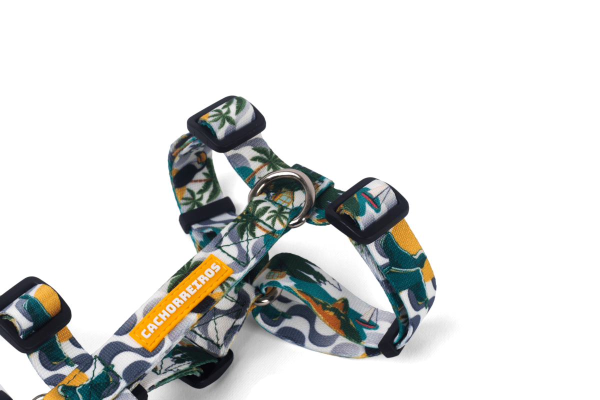 CACHORREIROS ARNES RIO4