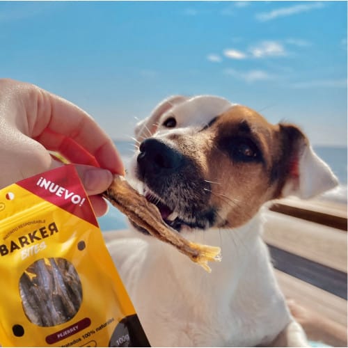 BARKER PEJERREY DESHIDRATO2