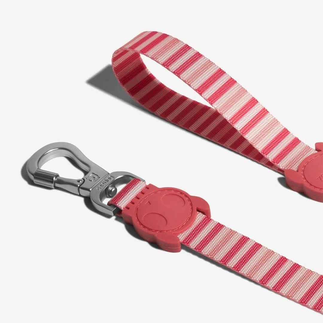 ZEEDOG CORREA PEPPERMINT1