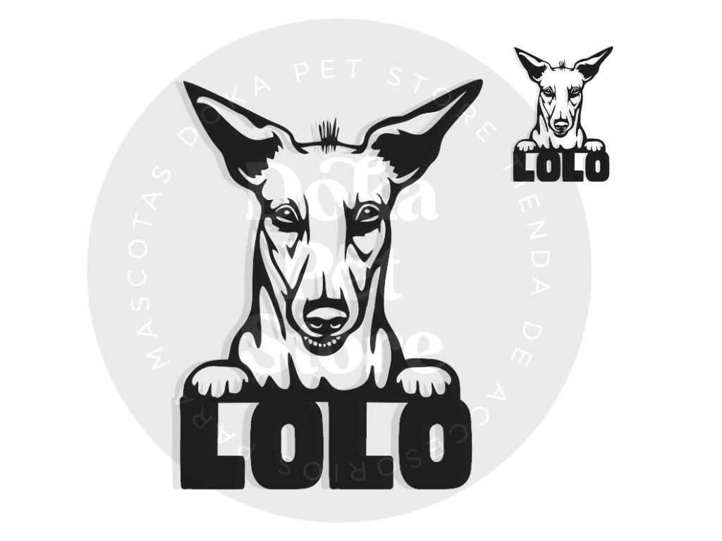 PERRO PERUANO FIGURA1