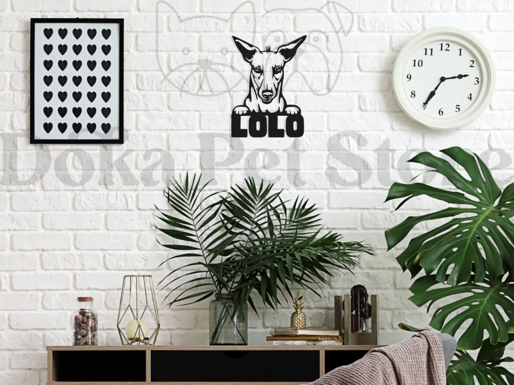 PERRO PERUANO FIGURA2