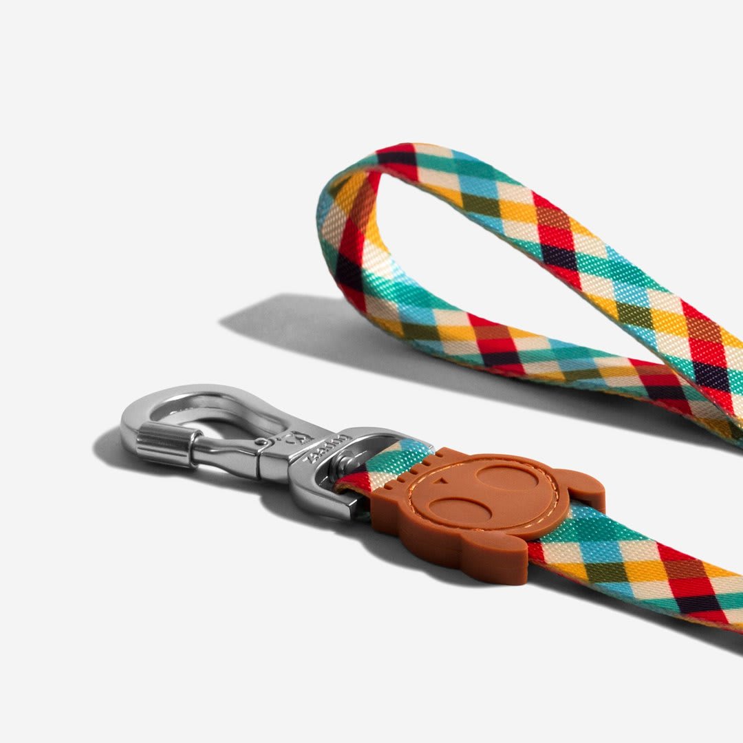 ZEEDOG CORREA PHANTOM1