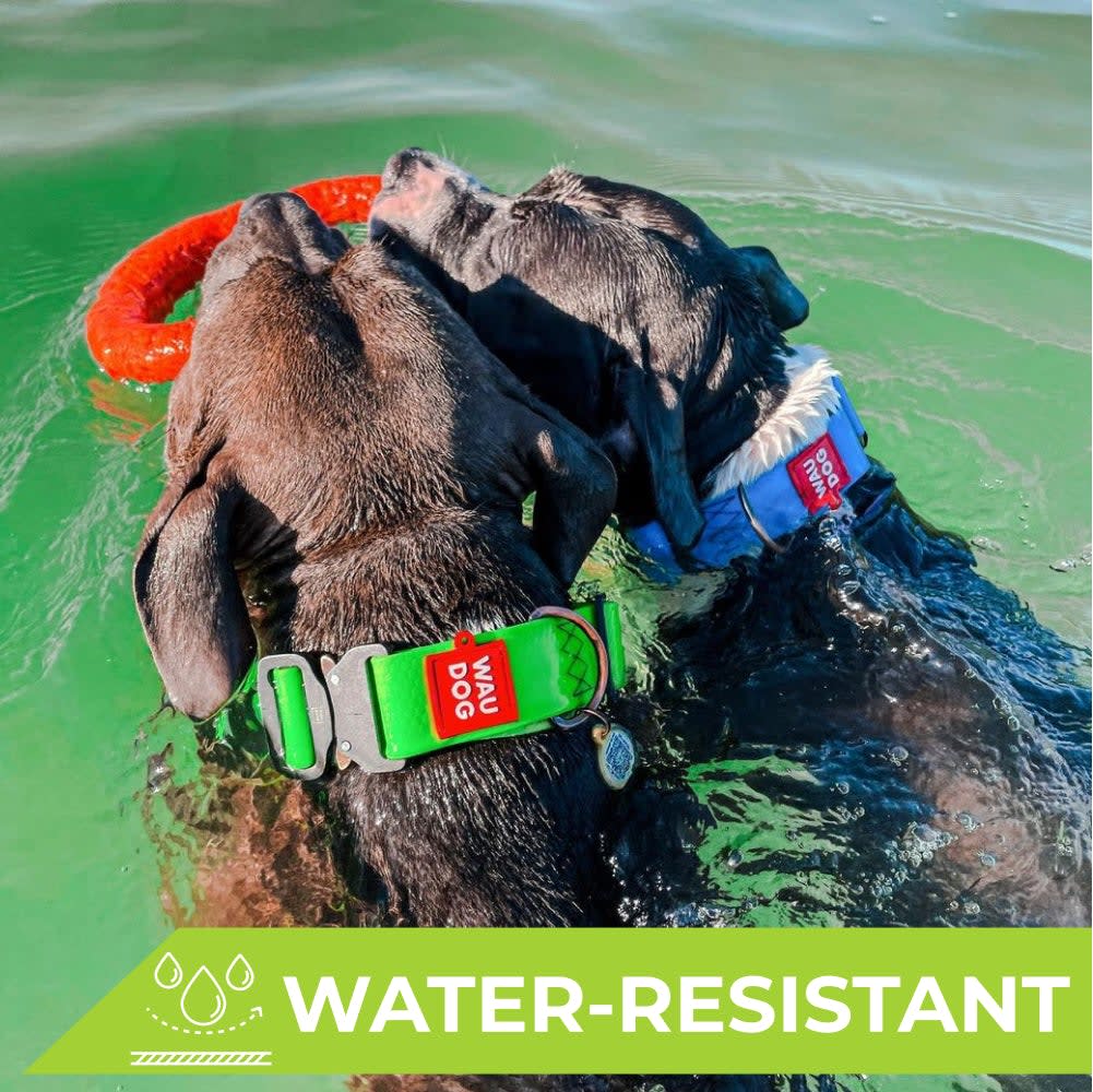 WAUDOG COLLAR WATERPROOF VERDE - HEBILLA FASTEX METAL - PLACA QR2