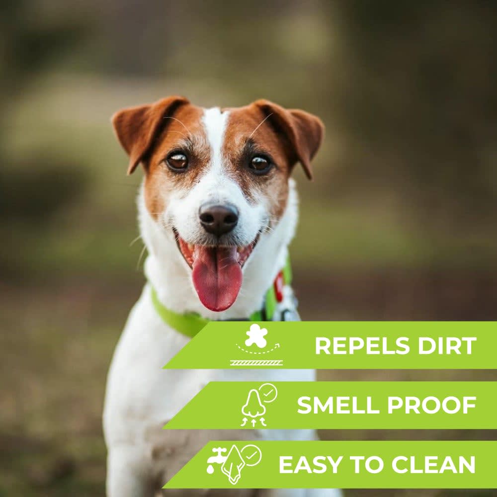 WAUDOG COLLAR WATERPROOF VERDE - HEBILLA FASTEX METAL - PLACA QR5