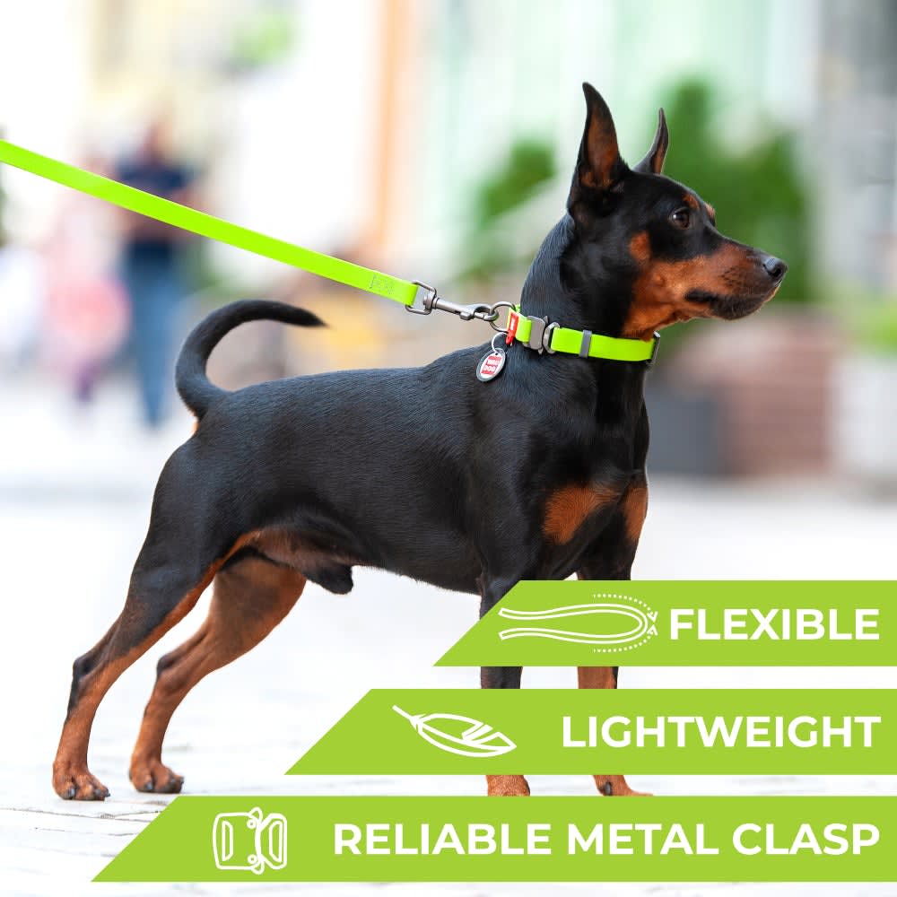 WAUDOG COLLAR WATERPROOF VERDE - HEBILLA FASTEX METAL - PLACA QR4