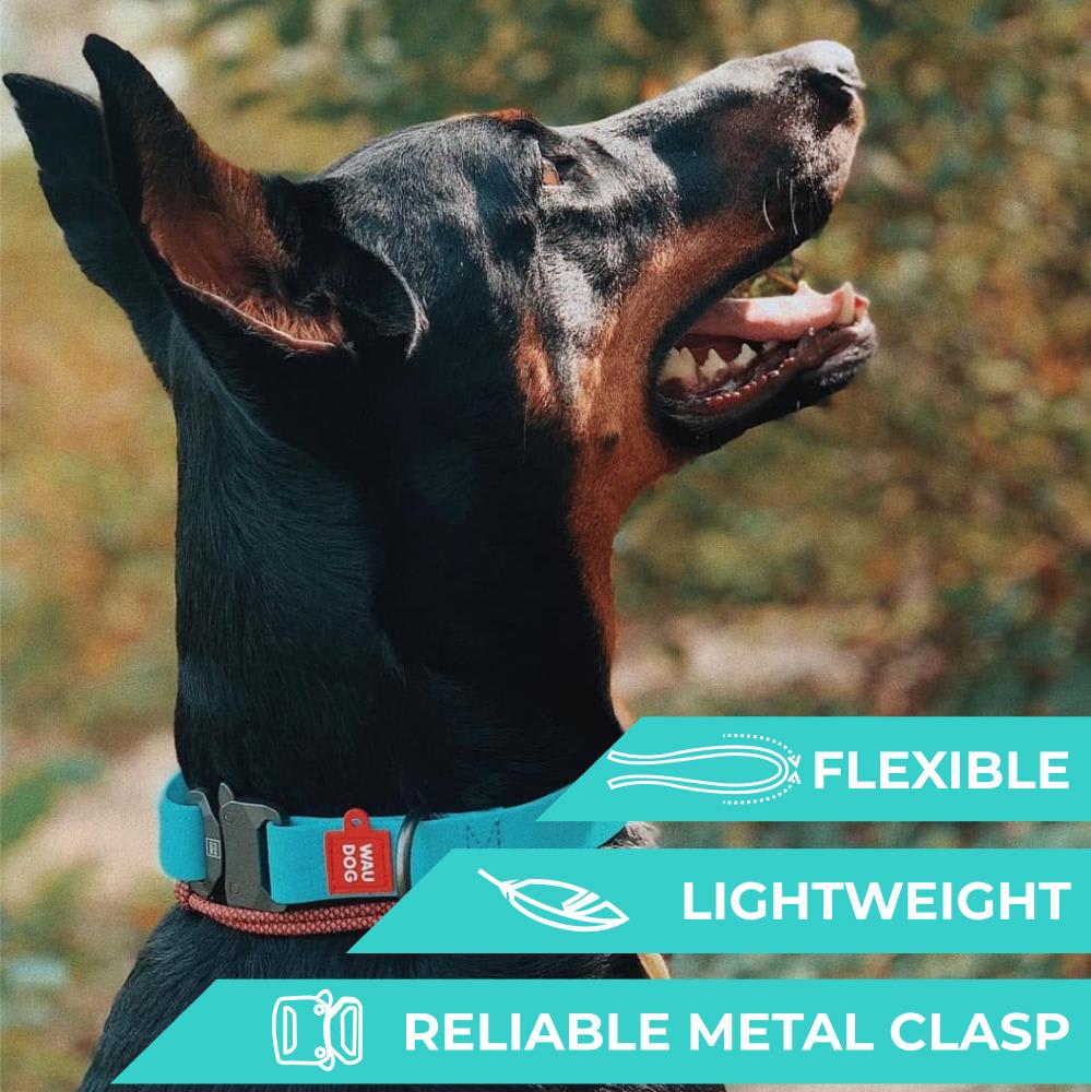 WAUDOG COLLAR WATERPROOF MENTA - BRILLA EN LA OSCURIDAD - HEBILLA FASTEX METAL - PLACA QR8