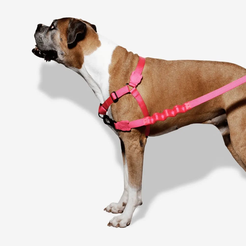 ZEEDOG SOFT WALK HARNESS PINK2