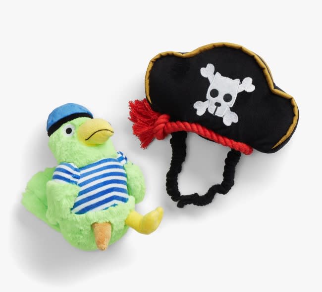 HALLOWEEN BARK DISFRAZ PIRATA CON LORO1