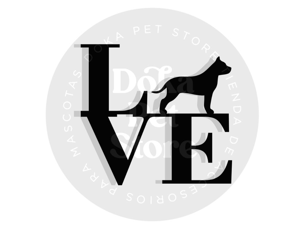 PITBULL LOVE1
