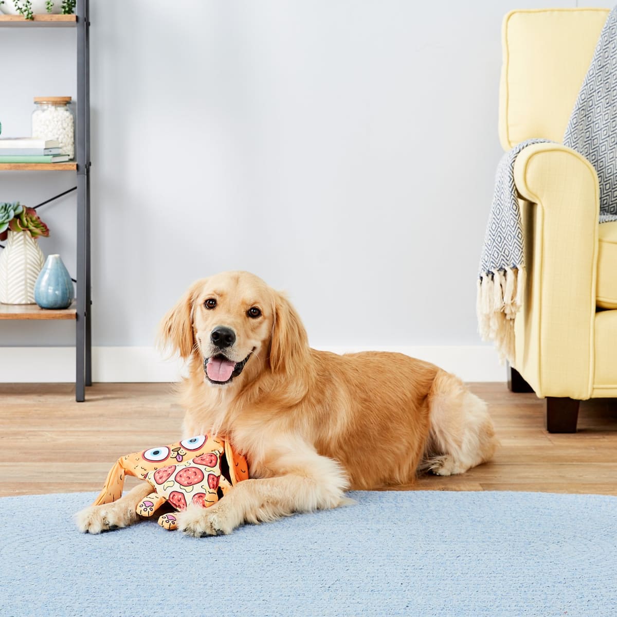 FAT CAT Foodies Puppy-Roni Dog Toy2