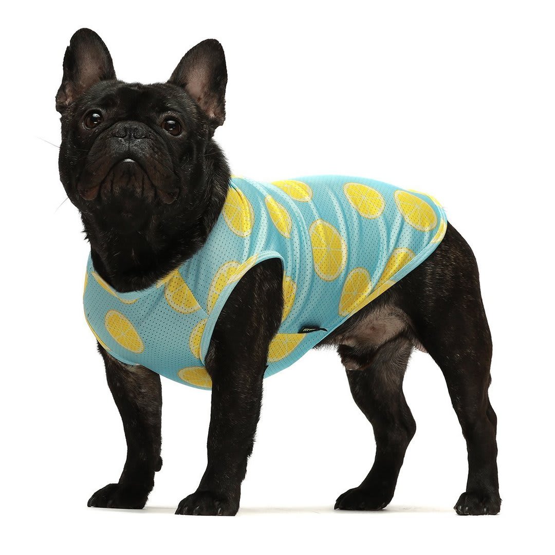 FITWARM POLO FAST FOOD PACK X 24