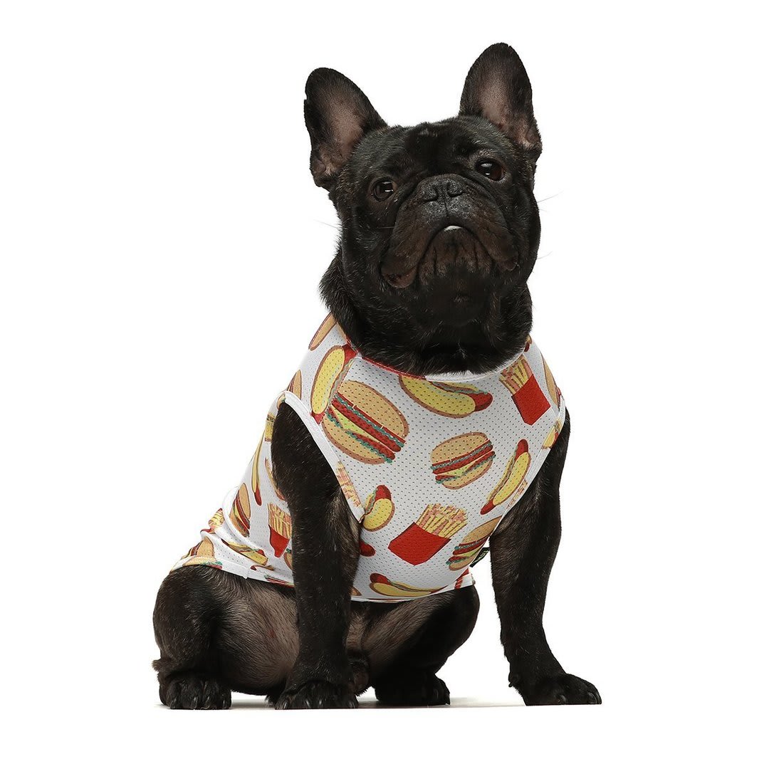 FITWARM POLO FAST FOOD PACK X 22