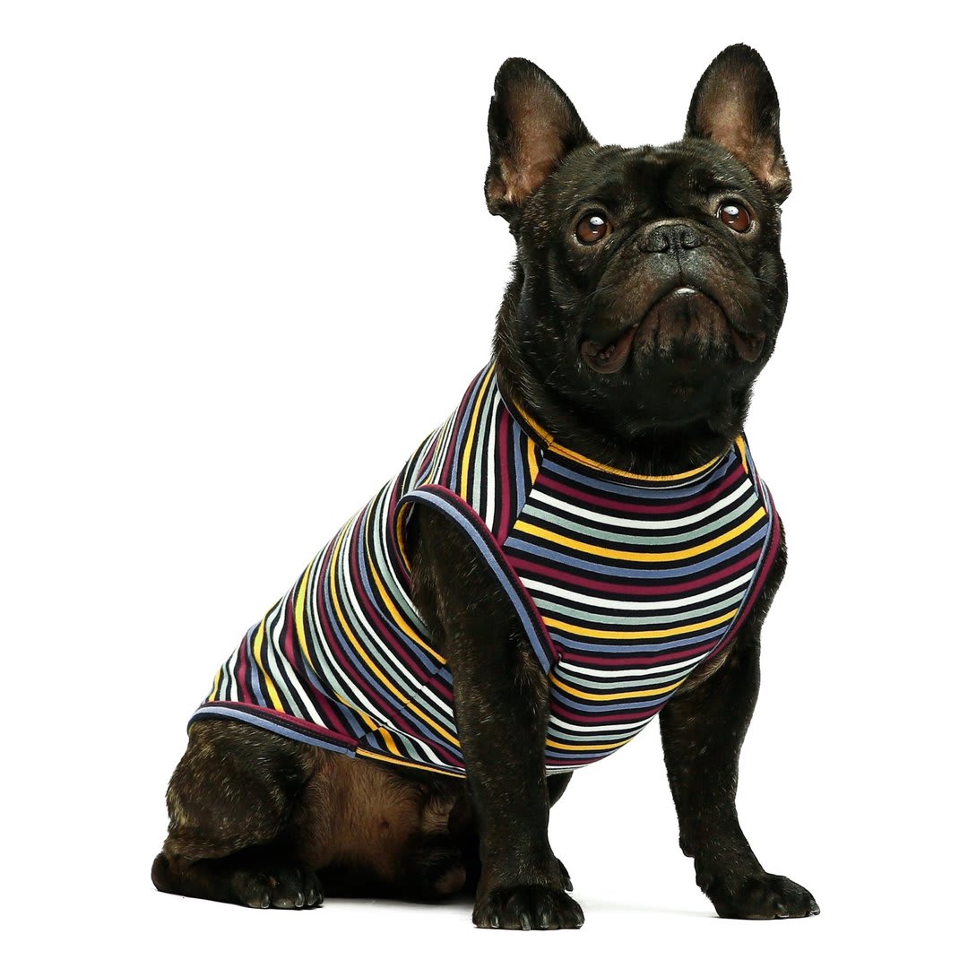 FITWARM POLO ROJO A RAYAS PACK X 2 MEDIUM4