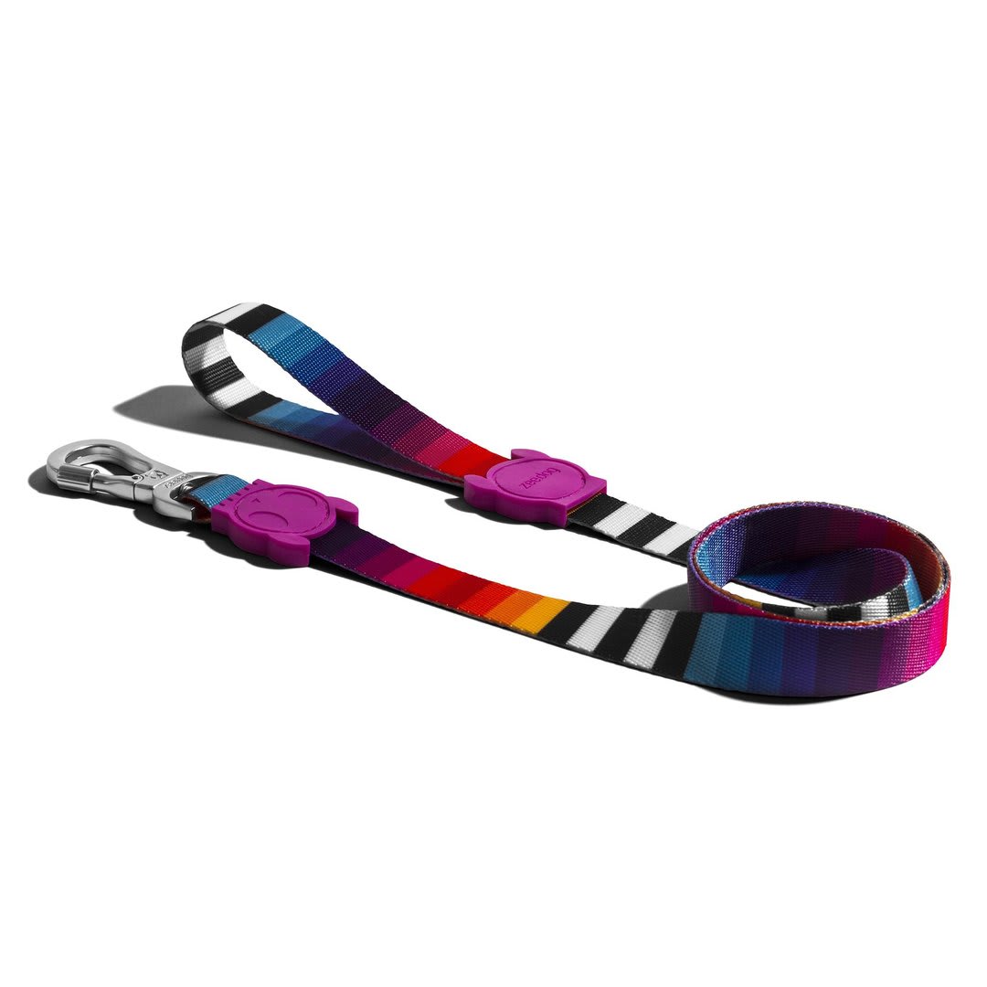ZEEDOG CORREA PRISMA1