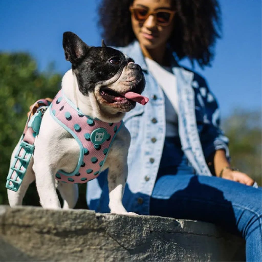 ZEEDOG POLKA PECHERA AIR MESH3