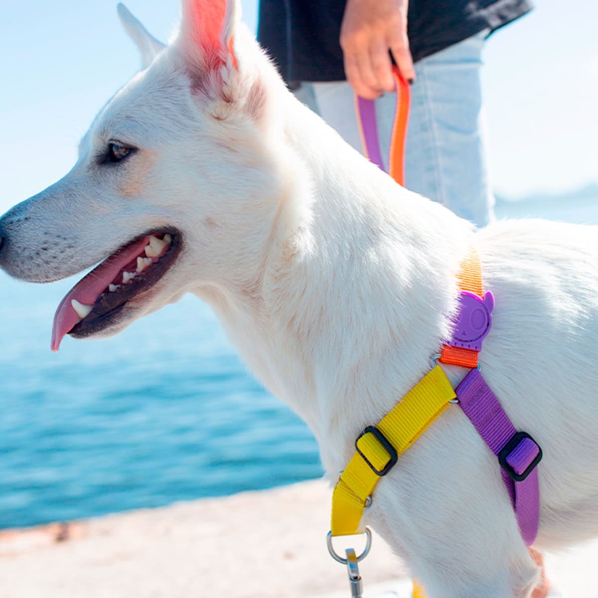 ZEEDOG SOFT WALK HARNESS PUMP2
