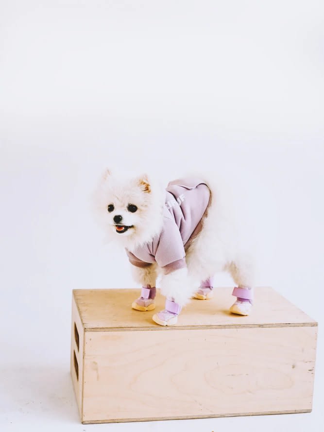 RIFRUF SNEAKERS TARO3