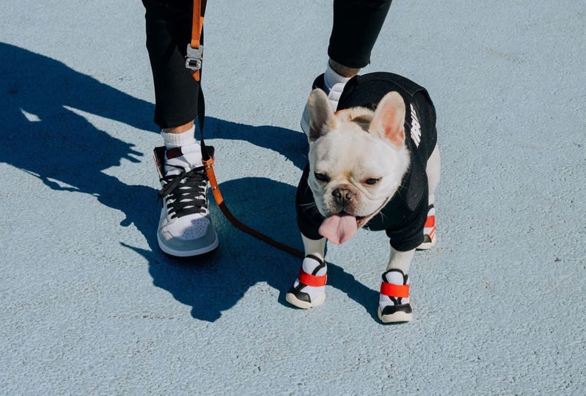 RIFRUF SNEAKERS BOROUGH2