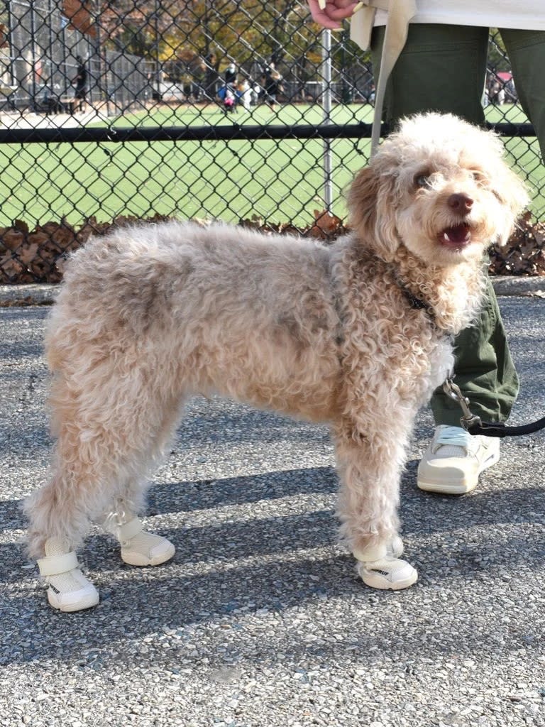 RIFRUF SNEAKERS BONE3