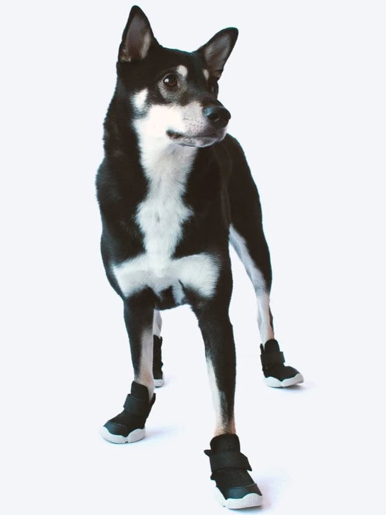 RIFRUF SNEAKERS BLACK Doka Pet Store