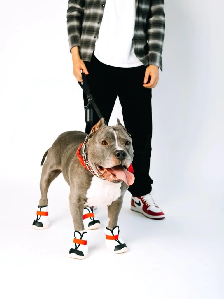 RIFRUF SNEAKERS BOROUGH3