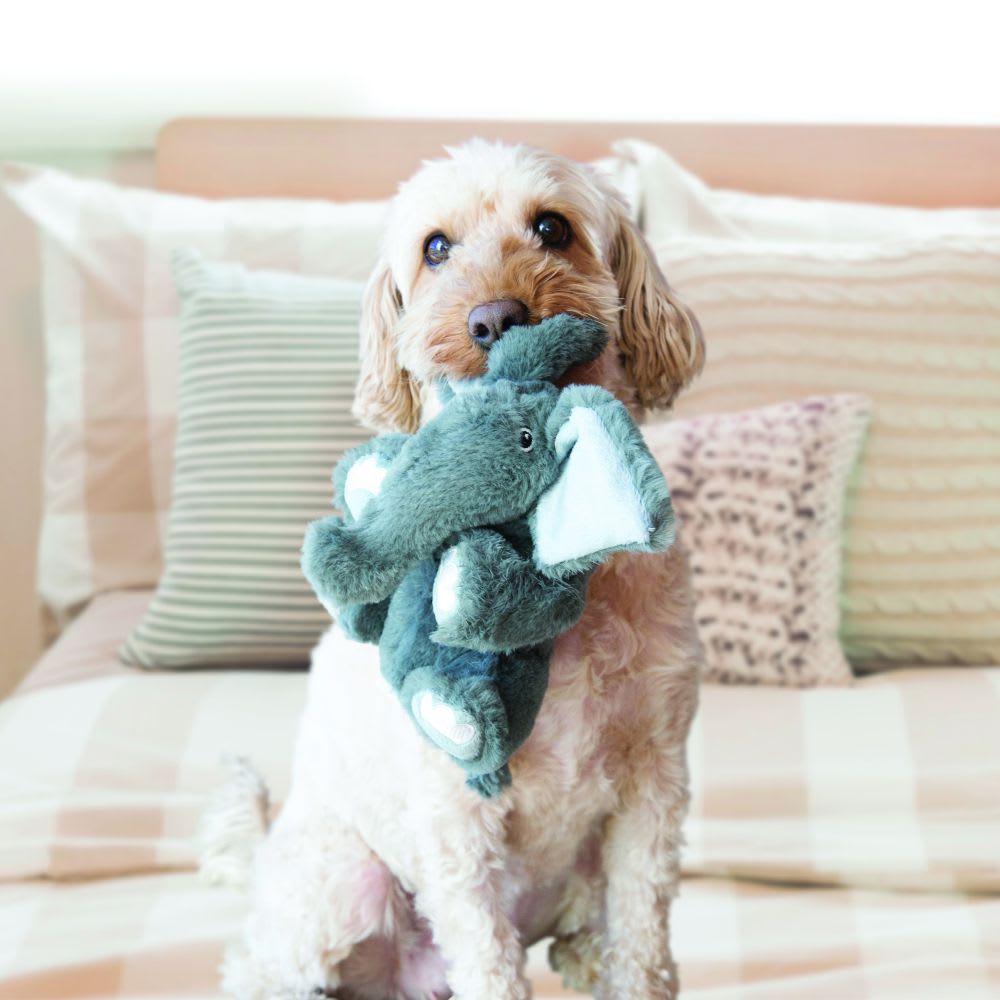 kong Comfort kiddos Elephant1