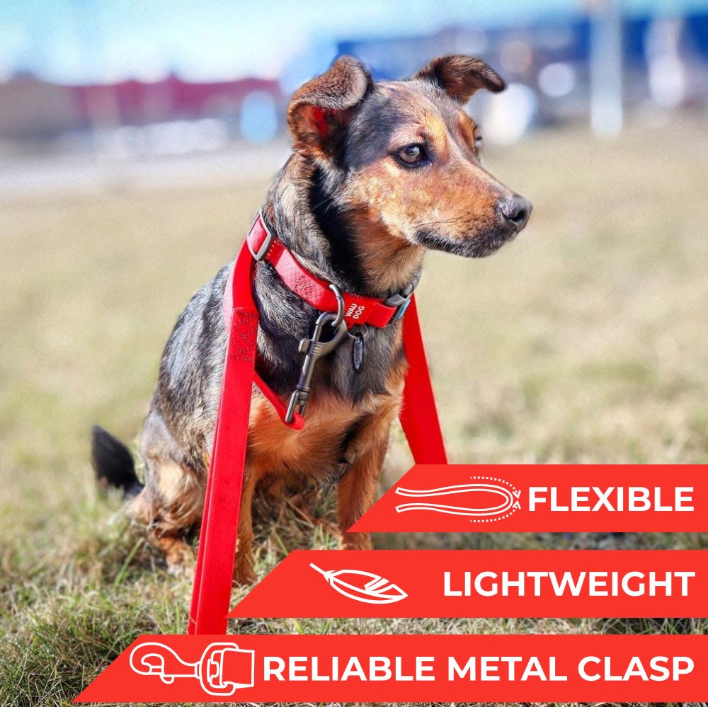 WAUDOG CORREA WATERPROOF ROJO2