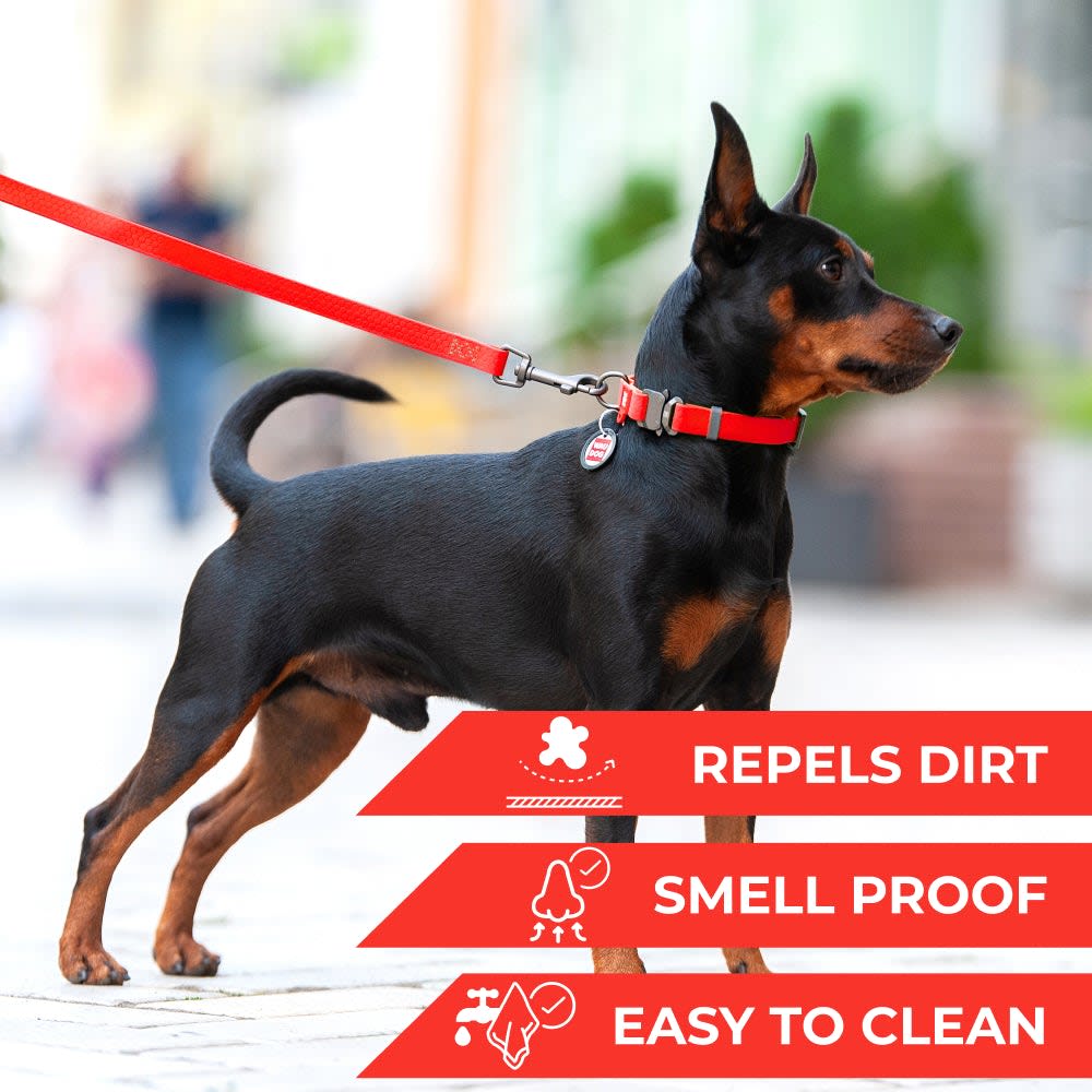 WAUDOG COLLAR WATERPROOF ROJO - HEBILLA FASTEX METAL - PLACA QR5