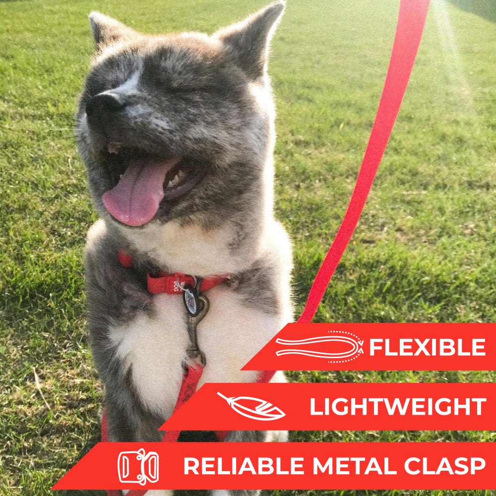 WAUDOG COLLAR WATERPROOF ROJO - HEBILLA FASTEX METAL - PLACA QR6