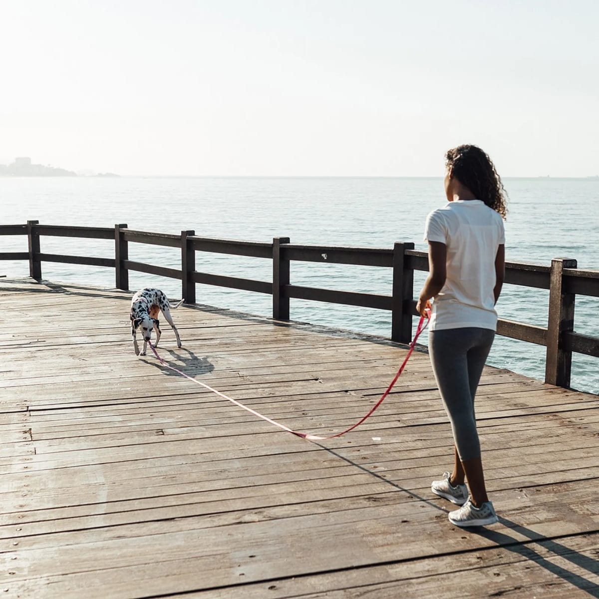 CACHORREIROS CORREA EXTRA LARGA CAMUFLADA ROSADA3