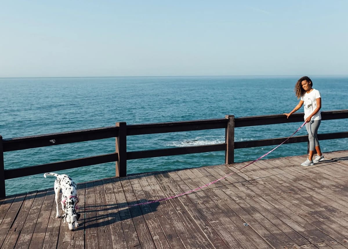 CACHORREIROS CORREA EXTRA LARGA CAMUFLADA ROSADA5