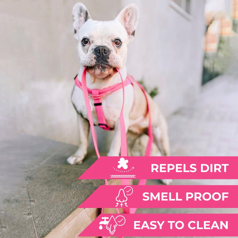 WAUDOG ARNES WATERPROOF ROSADO - HEBILLA FASTEX METAL - PLACA QR3