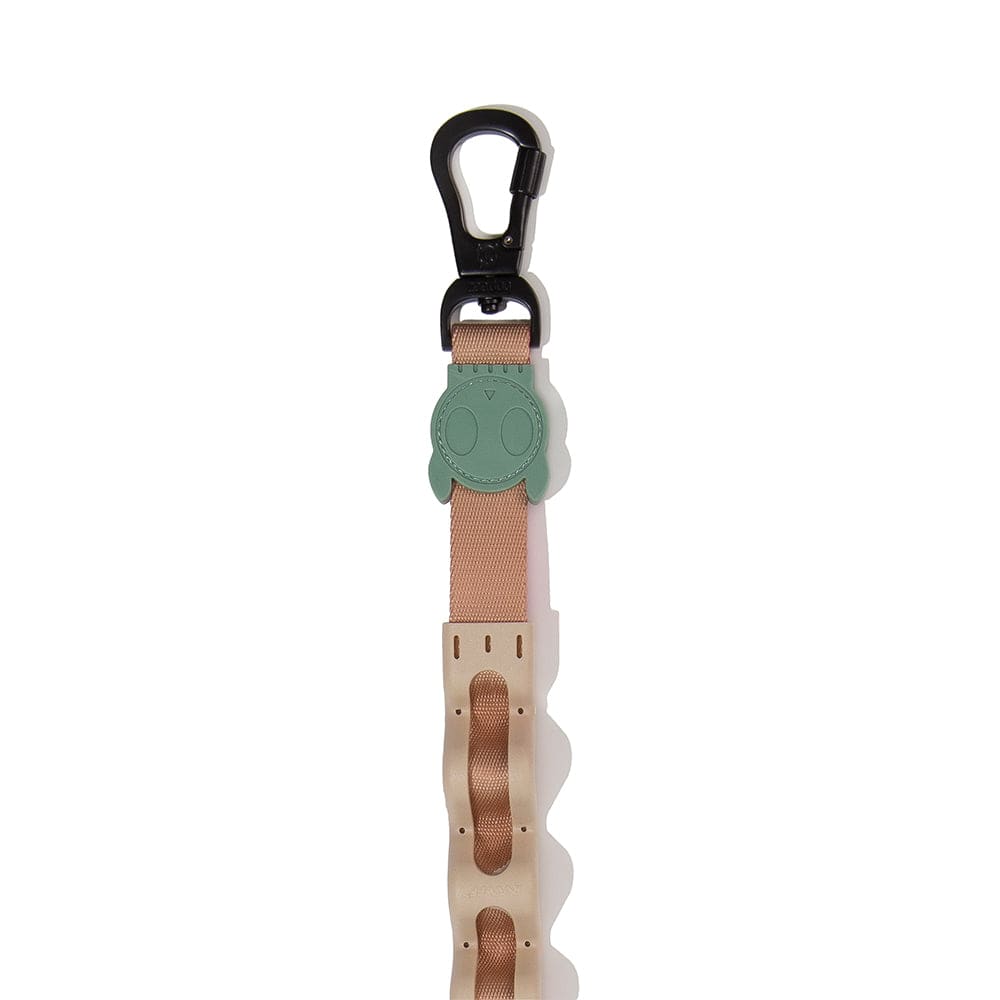 ZEEDOG CORREA RUFF YUCCA3