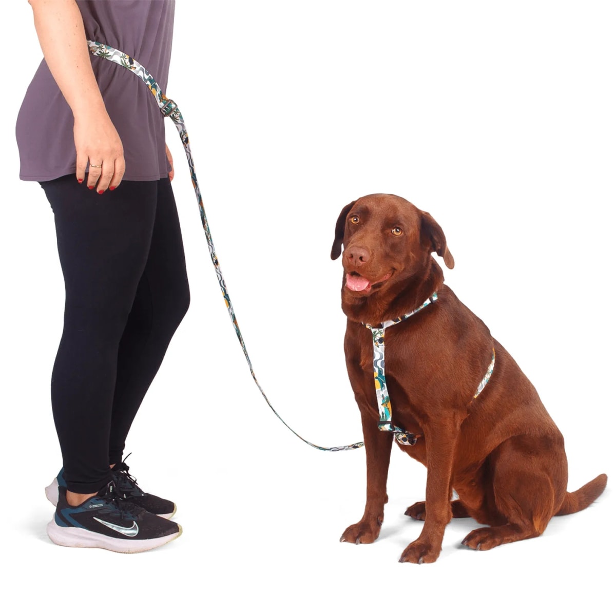 CACHORREIROS CORREA MANOS LIBRES RIO2