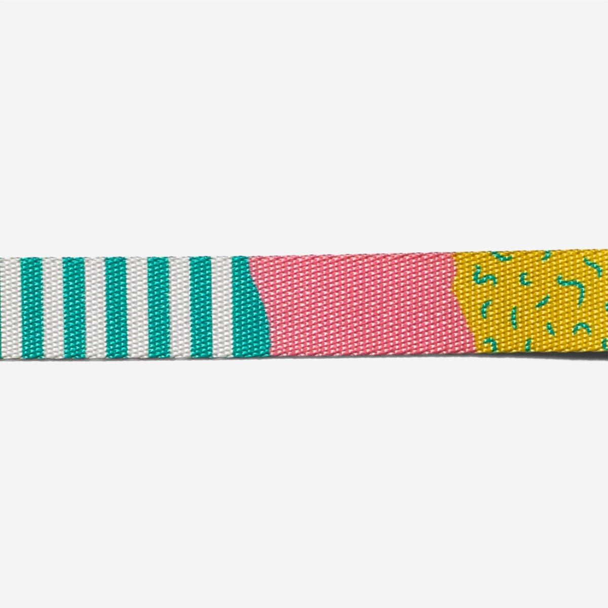 ZEEDOG COLLAR SALINA3