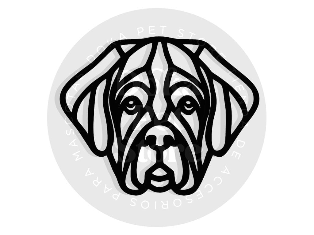 GEOMÉTRICO SAN BERNARDO1