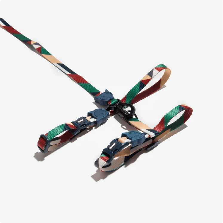 ZEECAT ARNES Y CORREA PACCO2