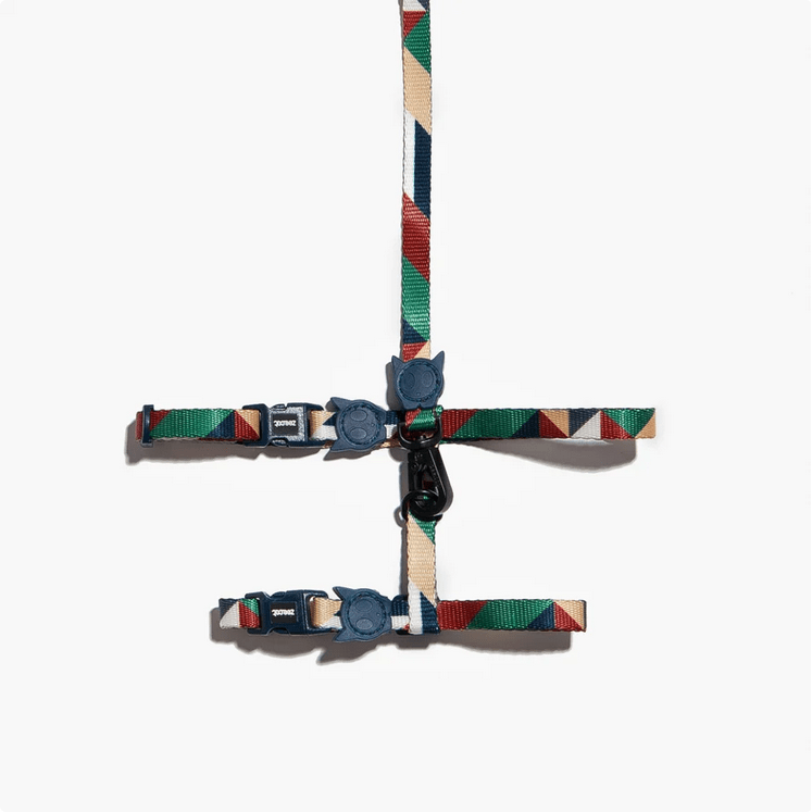 ZEECAT ARNES Y CORREA PACCO1