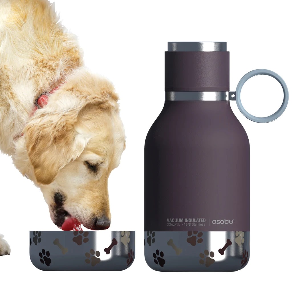 ASOBU DOG BOWL BOTTLE STAINLESS BURGUNDY1