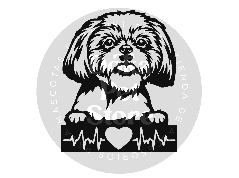 SHIH TZU BEATS1