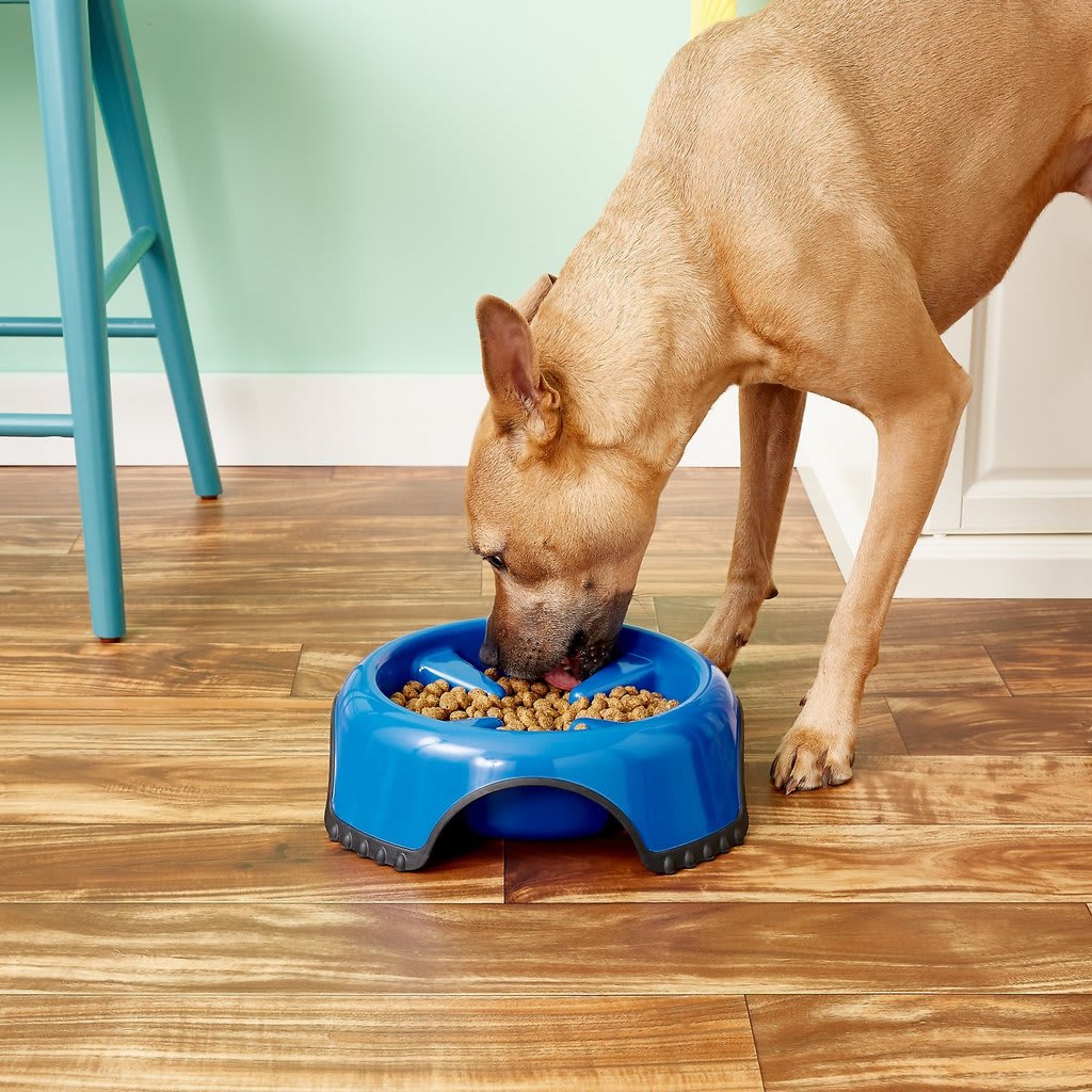 JW PLATO ANTIDESLIZANTE DE ALIMENTACIÓN LENTO AZUL2